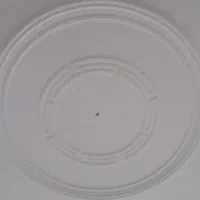 به یک شاگرد گچکار نیازمندیم