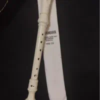 فلوت ریکوردر