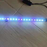 اکواریوم شیشه خم|ماهی|مشهد, کارمندان دوم|دیوار