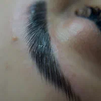 انجام لیفت ابرو و مژه|خدمات آرایشگری و زیبایی|رشت, استادسرا|دیوار