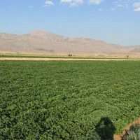 کارگر آشناباسیستم بارانی