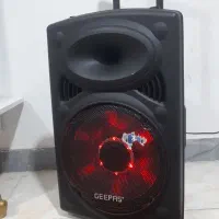 اسپیکر چمدانی