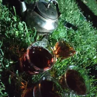 پارتنر خوب برای سفر و گردش