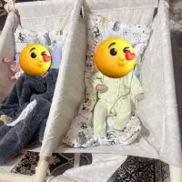 گهواره دوقلو