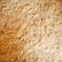 برنج شیرودی