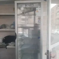 فریزر ایستاده