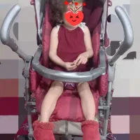 کالسکه خارجی عصایی بهمراه کریر