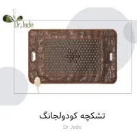 صندلی ماساژور دکتر جید با لوازم کامل جانبی|تجهیزات ورزشی|شیراز, پودنک|دیوار