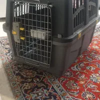 باکس سگ