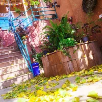 سوییت بوژان اقامتگاه|اجارهٔ کوتاهمدت آپارتمان و سوئیت|نیشابور, فضل|دیوار