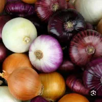 پیاز پیدا شده