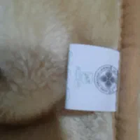 پتو گلبتفت اصلی