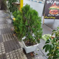 به علت کمبود جا فروش