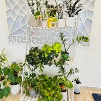 استند گل پی وی سی|کتابخانه، شلف، قفسه‌های دیواری|بیرجند, |دیوار