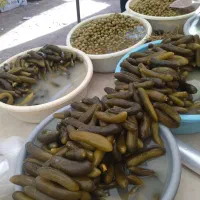 پخش سوسیس کالباس نوشابه شیشه ترشی خیارشور زیتون
