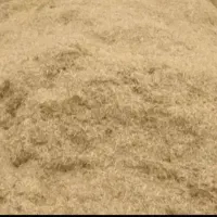 کاه گندم مال ۵روز پیش