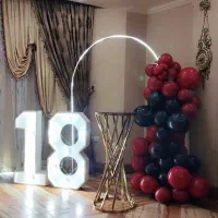 تشریفات مجلس تولد تن پوش دلقک بادکنک آرایی|خدمات پذیرایی، مراسم|شیراز, صنایع الکترونیک|دیوار