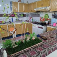 فروش منزلی دلباز و شیک|فروش خانه و ویلا|شیراز, سعدیه جنوبی|دیوار