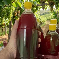 آب غوره 100% طبیعی انگور
