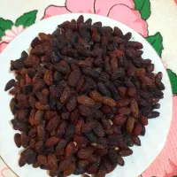 آلبالو خشک آفتابی زغال اخته آلو و گیلاس خشک افتابی|خوردنی و آشامیدنی|اندیشه, اندیشه فاز ۴|دیوار