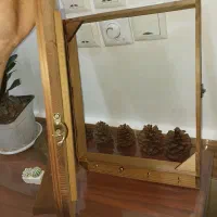 باکس فیوزبادوتاگلدون کاکتوس سرامیکی نونو|صنایع دستی و سایر لوازم تزئینی|اهواز, لشکرآباد|دیوار