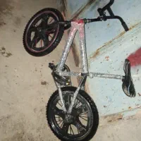 بیستوک تن اساک