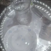 ست6تایی بشقاب پلوخوری گلداربدون کوچکترین پریدگی