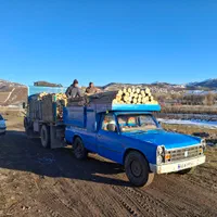 خریدو فروش انواع چوب آلات باغی جنگلی در استان|خدمات باغبانی و درختکاری|اردبیل, |دیوار