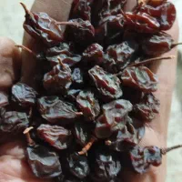مویز درجه یک