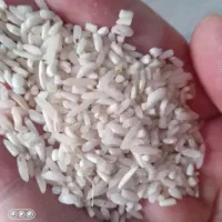 برنج لاشه طارم هاشمی