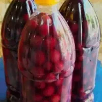ترشی البالو|خوردنی و آشامیدنی|اصفهان, لاله|دیوار
