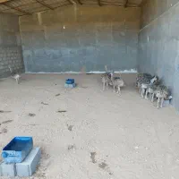 اجاره انبار