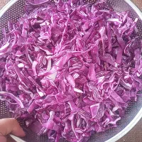 ترشی|خوردنی و آشامیدنی|بستان آباد, |دیوار