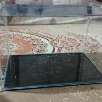 آکواریوم و بخاری