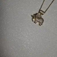 فروش بدلیجات و اکسسوری رنگ ثابت و خاص