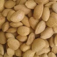 بادام سنگی کاملا خشک ارگانیک