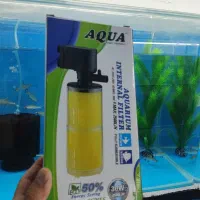 آکواریوم پارسیان|ماهی|مینودشت, |دیوار