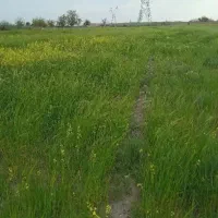 زمین-خالی-برای-باغ-در-جاده-صنوبر