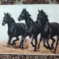 تعدادی تابلو فرش خالی زیبا و درجه یک|تابلو فرش|تهران, ائمه اطهار|دیوار