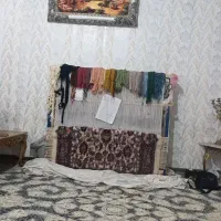 قالی ودارقالی