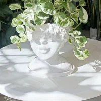 گل طبیعی وآپارتمانی گلسرای ستاره