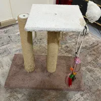 فروش اسکرچر گربه