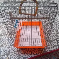 عدد قفس پرنده|لوازم جانبی حیوانات|نسیمشهر, |دیوار