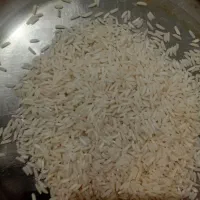 برنج هاشمی