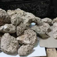 سنگ آکواریوم
