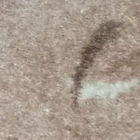 پلازموکتظ
