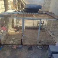قفس آهنی مرتب وضخیم دودرب سنگین|لوازم جانبی حیوانات|تربت جام, جلگه موسی آباد|دیوار