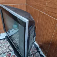 تلویزیون سالم