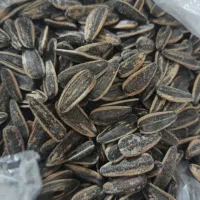 تخمه مرغوب اقتصادی