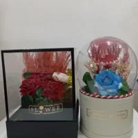 گل   مناسب کادویی